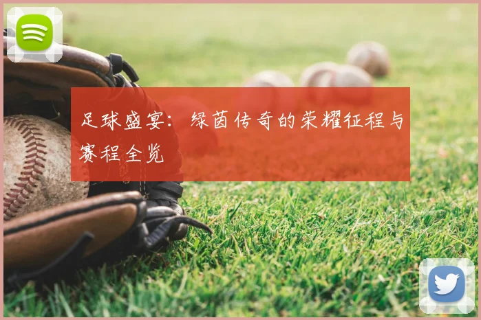 足球盛宴：绿茵传奇的荣耀征程与赛程全览